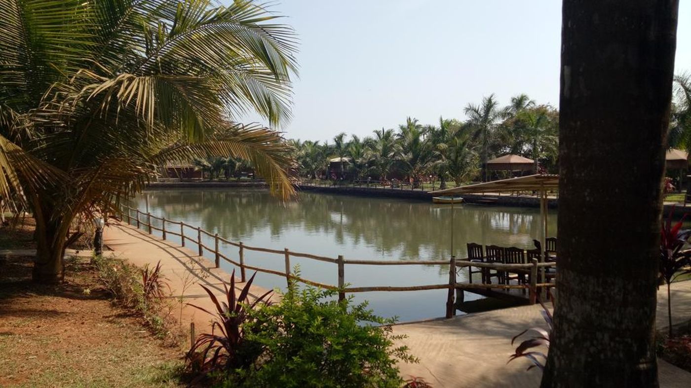 Primo Bom Terra Verde