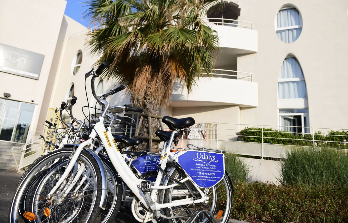 Odalys Résidence Les Dunes du Soleil - France - LA GRANDE MOTTE  - Lobby - 1