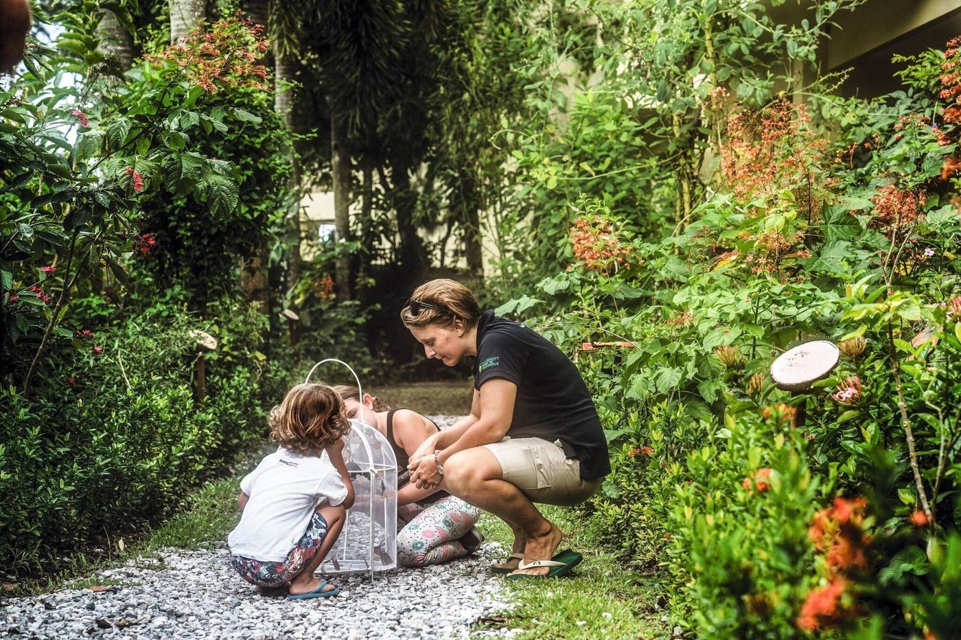 Phuket-Marriott-Resort---Spa--Merlin-Beach-General-view-66