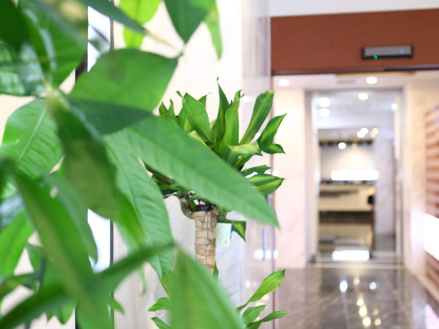 Hotel Wing International Select Ueno Okachimachi-Japan-TOKYO-Lobby-3