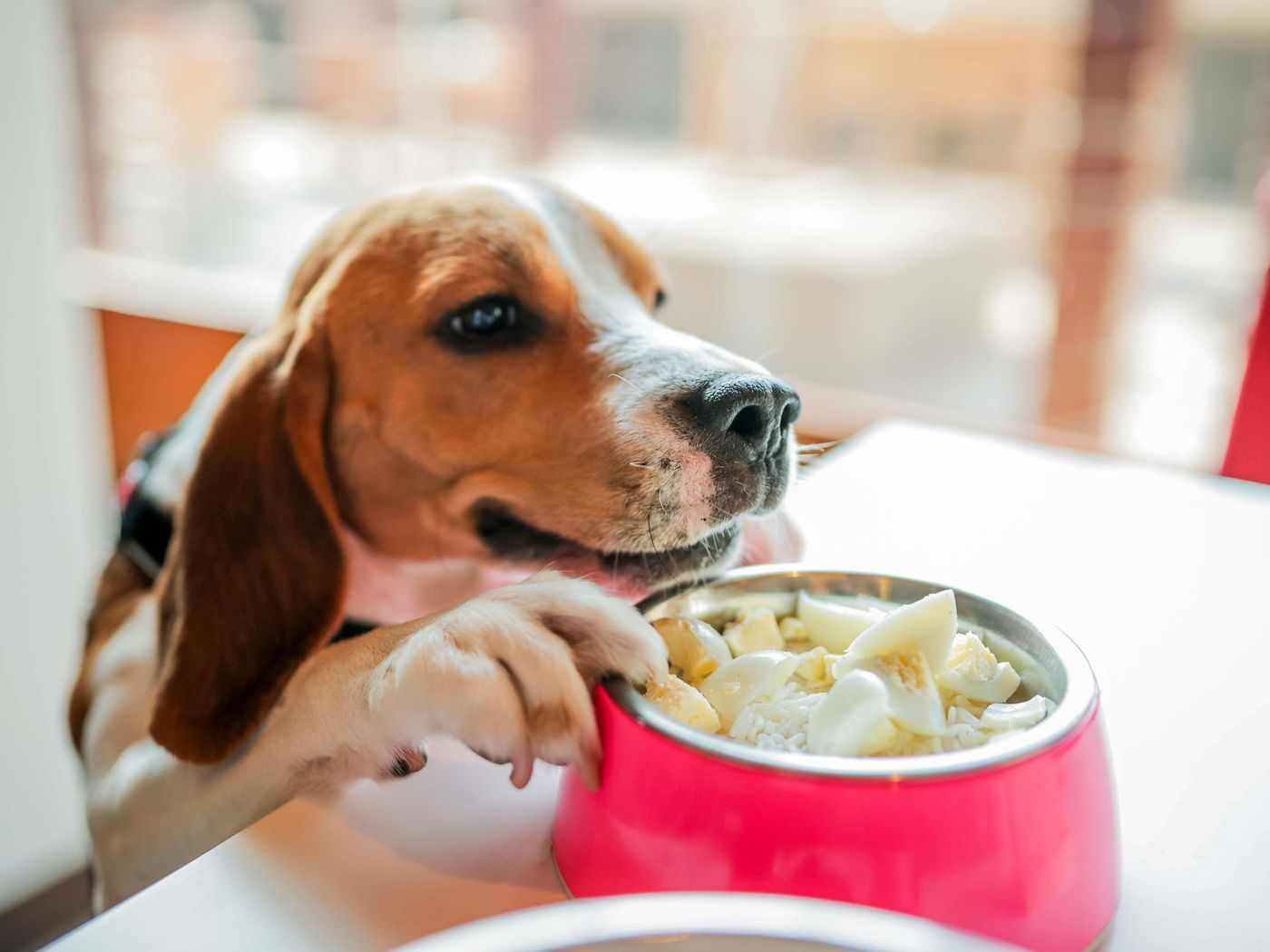 Ibis-Lisboa-Saldanha-General-view-64