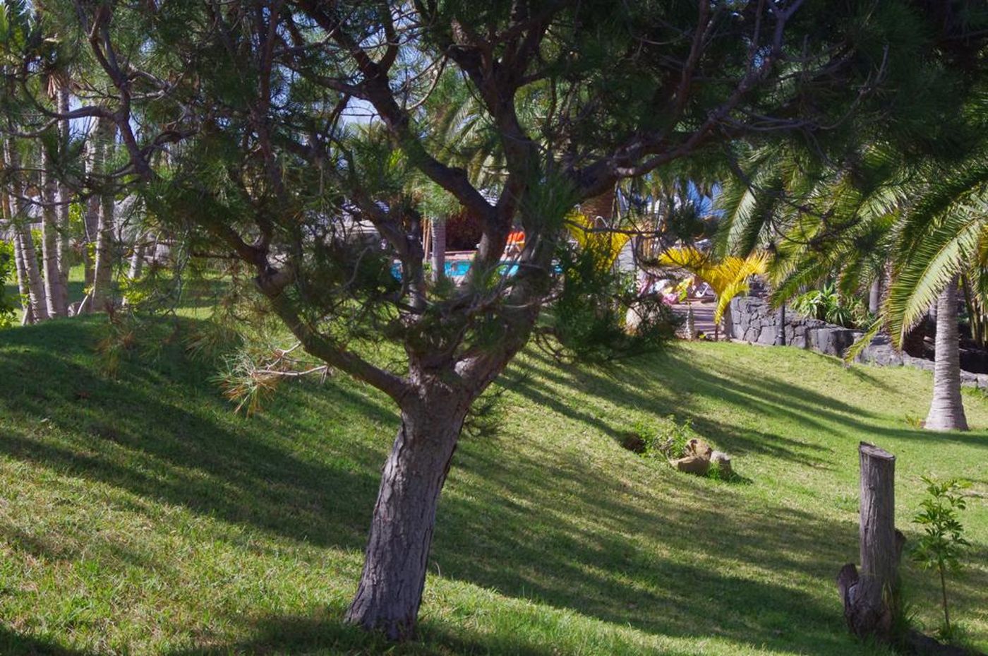 Playa De Los Roques Apartments