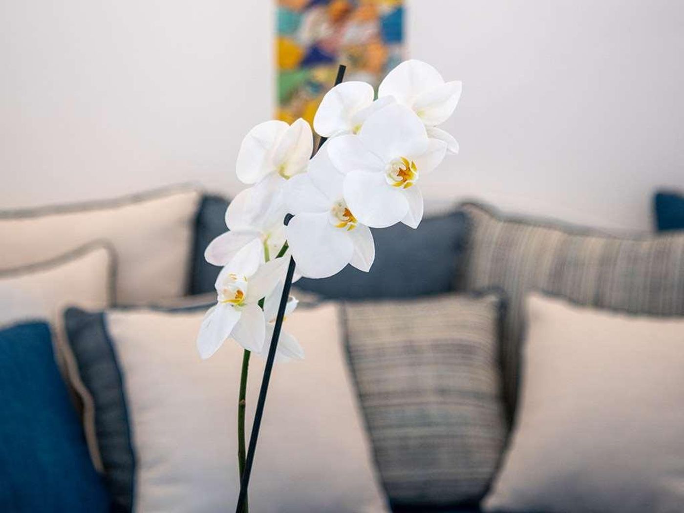 Positano-Art-Hotel-Pasitea-Room-19