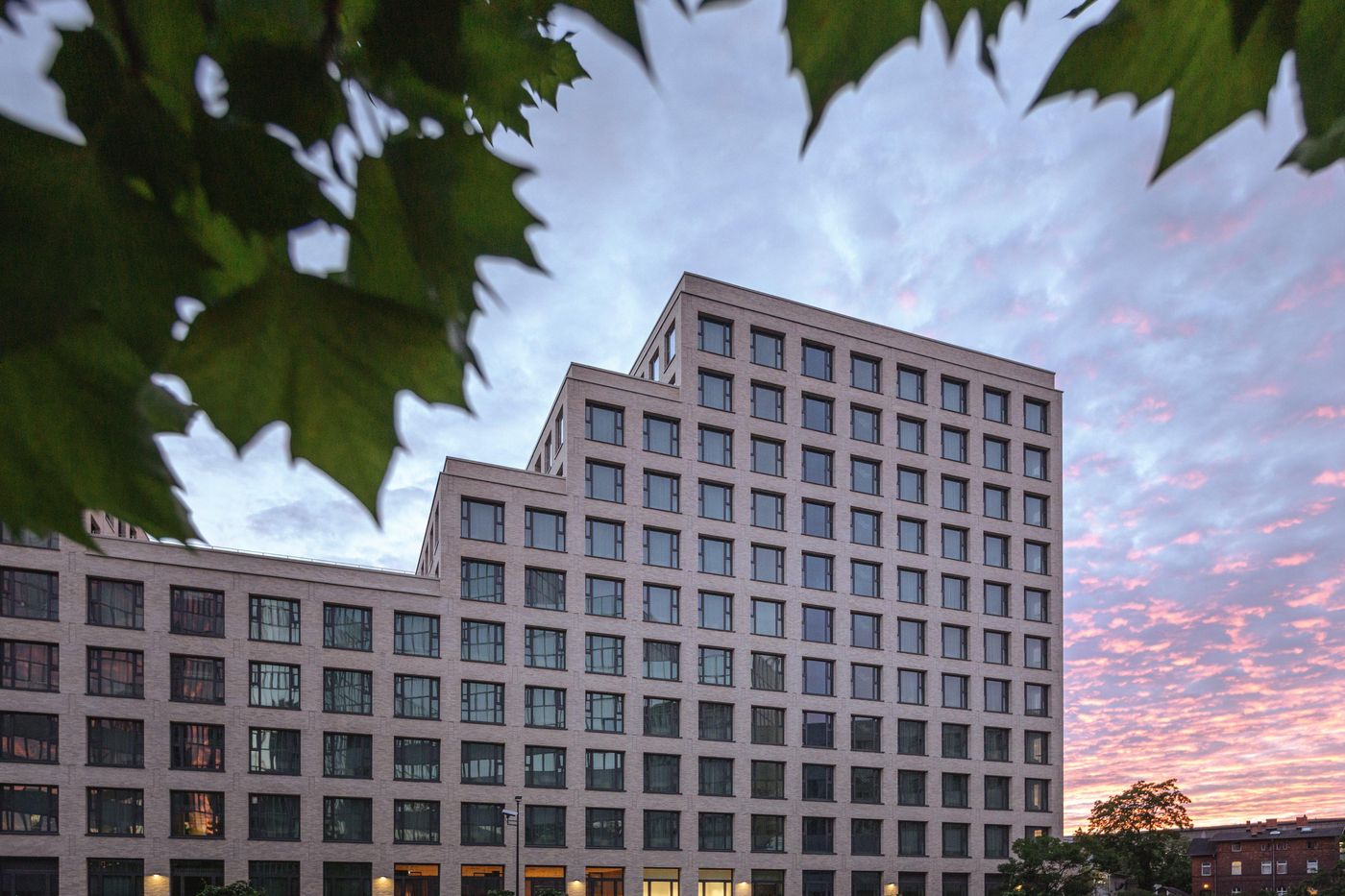 the-niu-Dwarf-General-view-36