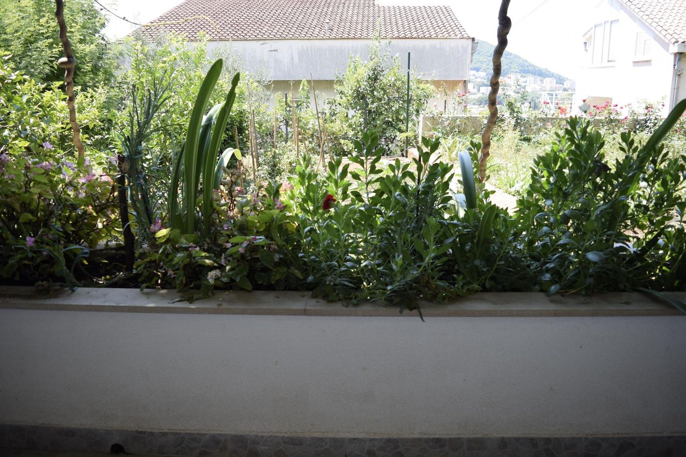 Jele Rooms-Croatia-DUBROVNIK -General view-6