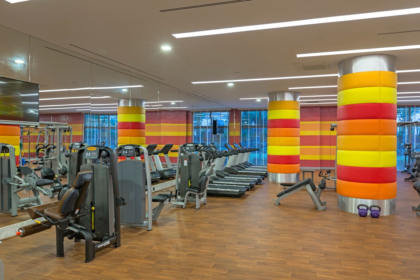 Royal Seginus (8).jpg