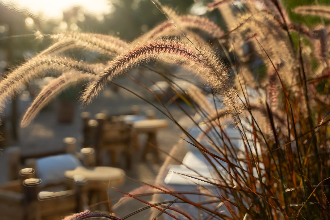 Fort-Arabesque-Beach-23