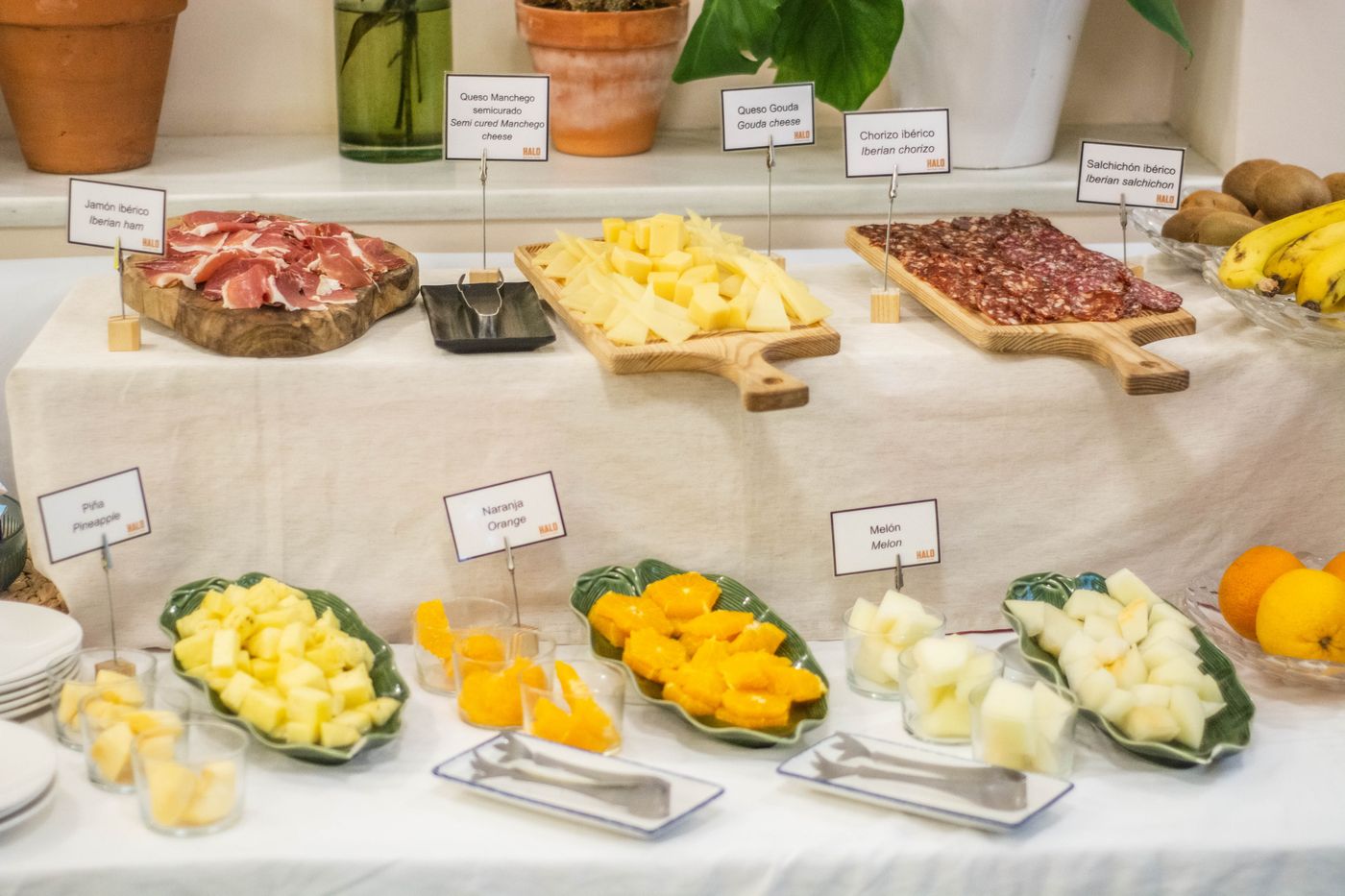 Hotel Boutique Elvira Plaza - Spain - SEVILLA - Restaurant - 5