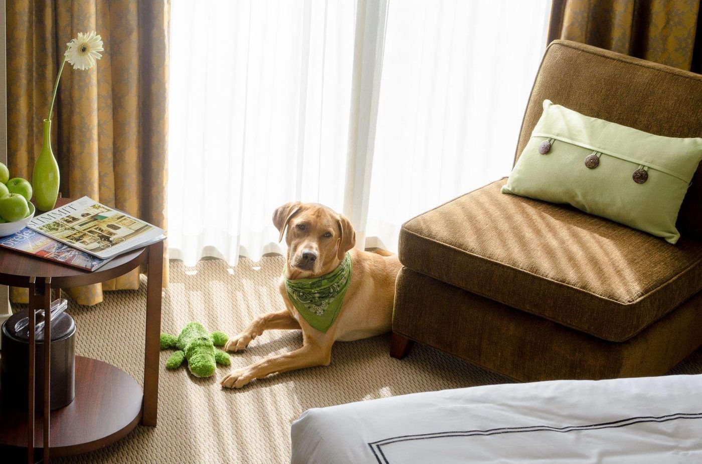 Radisson-Blu-Vancouver-Airport-Room-10