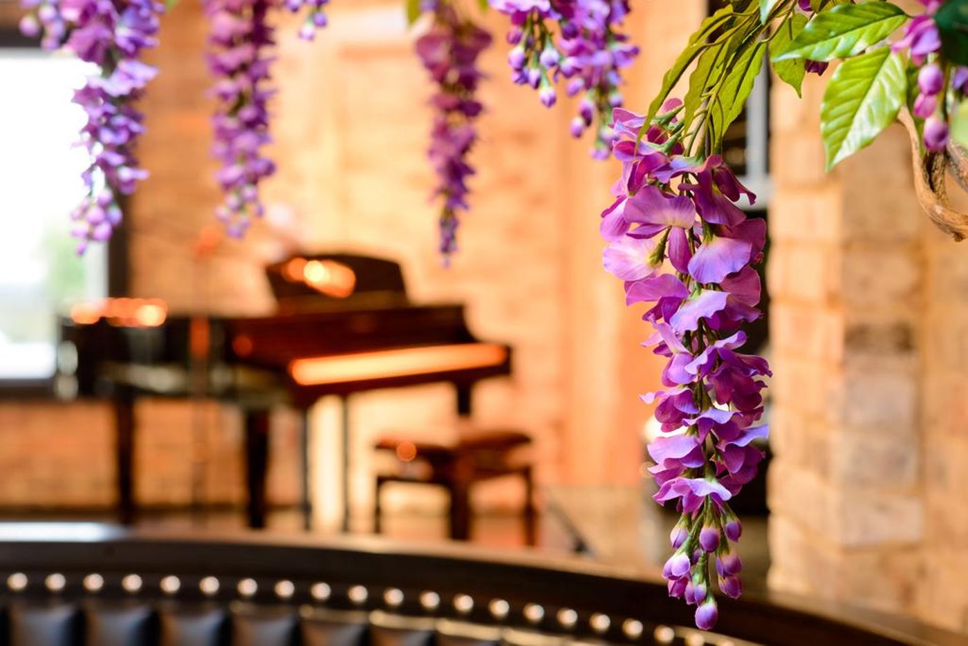 Black Ivy - United Kingdom - EDINBURGH - General view - 1