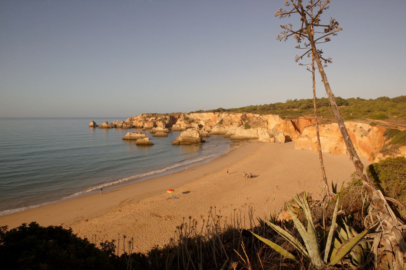 Interpass-Solvau-Beach-31