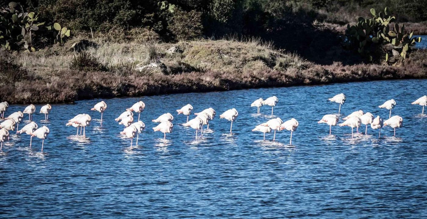 Gabbiano-Azzurro-Sports-and-Entertainment-80