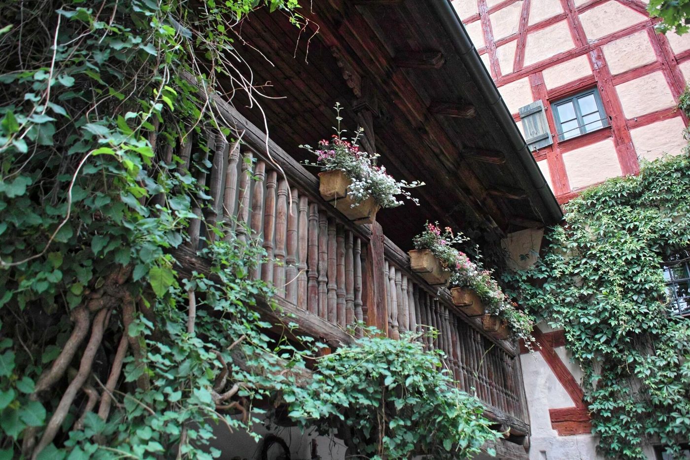 Restaurant & Hotel Der Schwan-Germany-SCHWANSTETTEN-General view-3