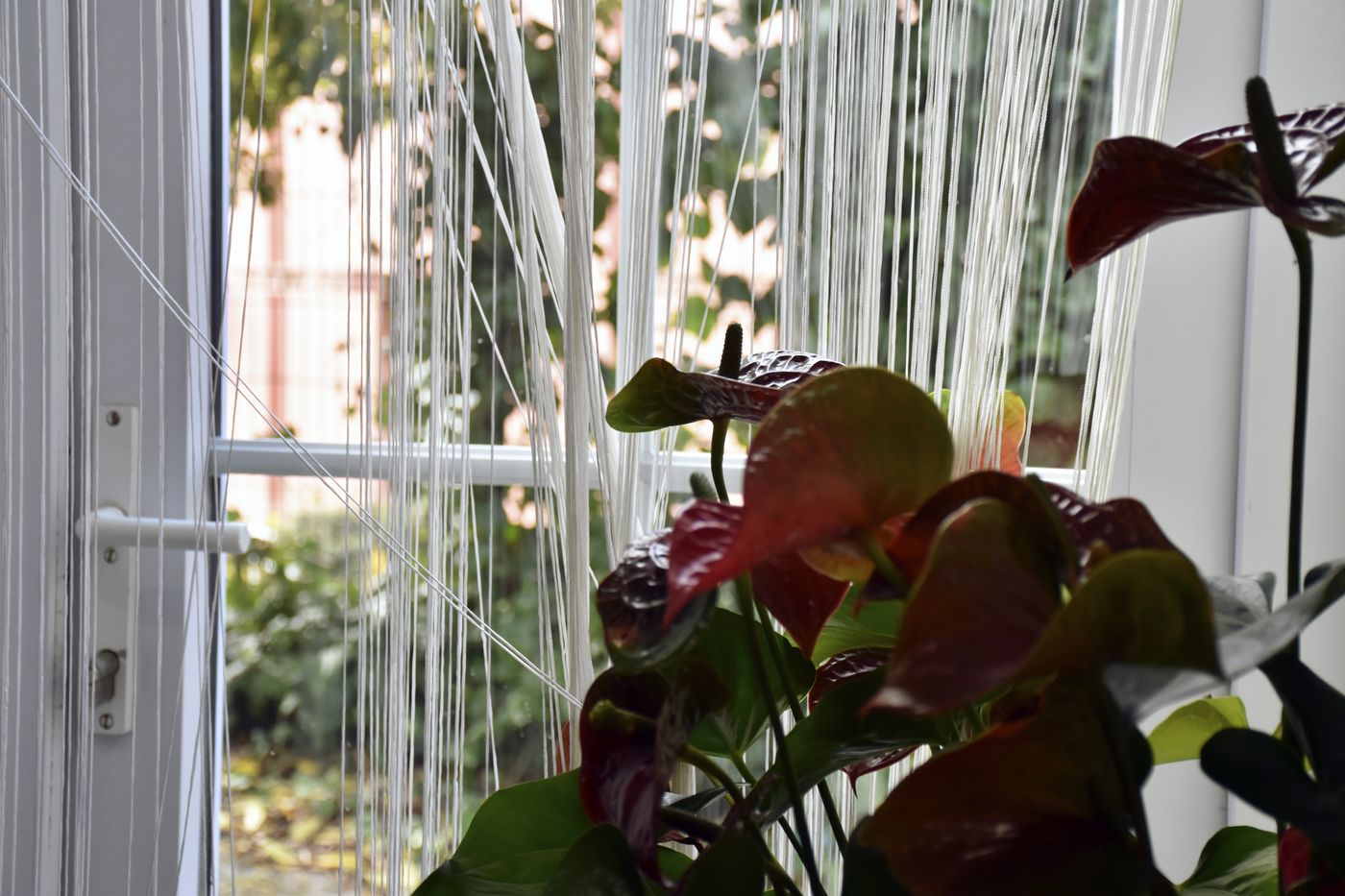 O Colmo-Portugal-SANTANA-General view-2