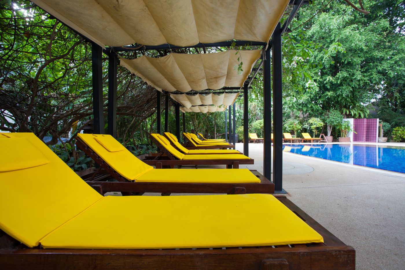 Tropica-Bungalow-Hotel-Pool-10