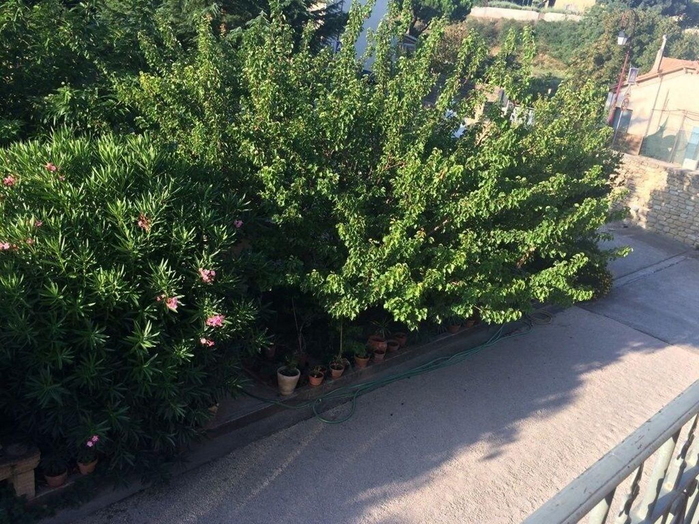 Salvaterra-France-SAUVETERRE-General view-6