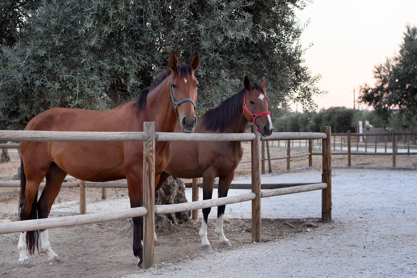 Casa-Do-Governador-Sports-and-Entertainment-47