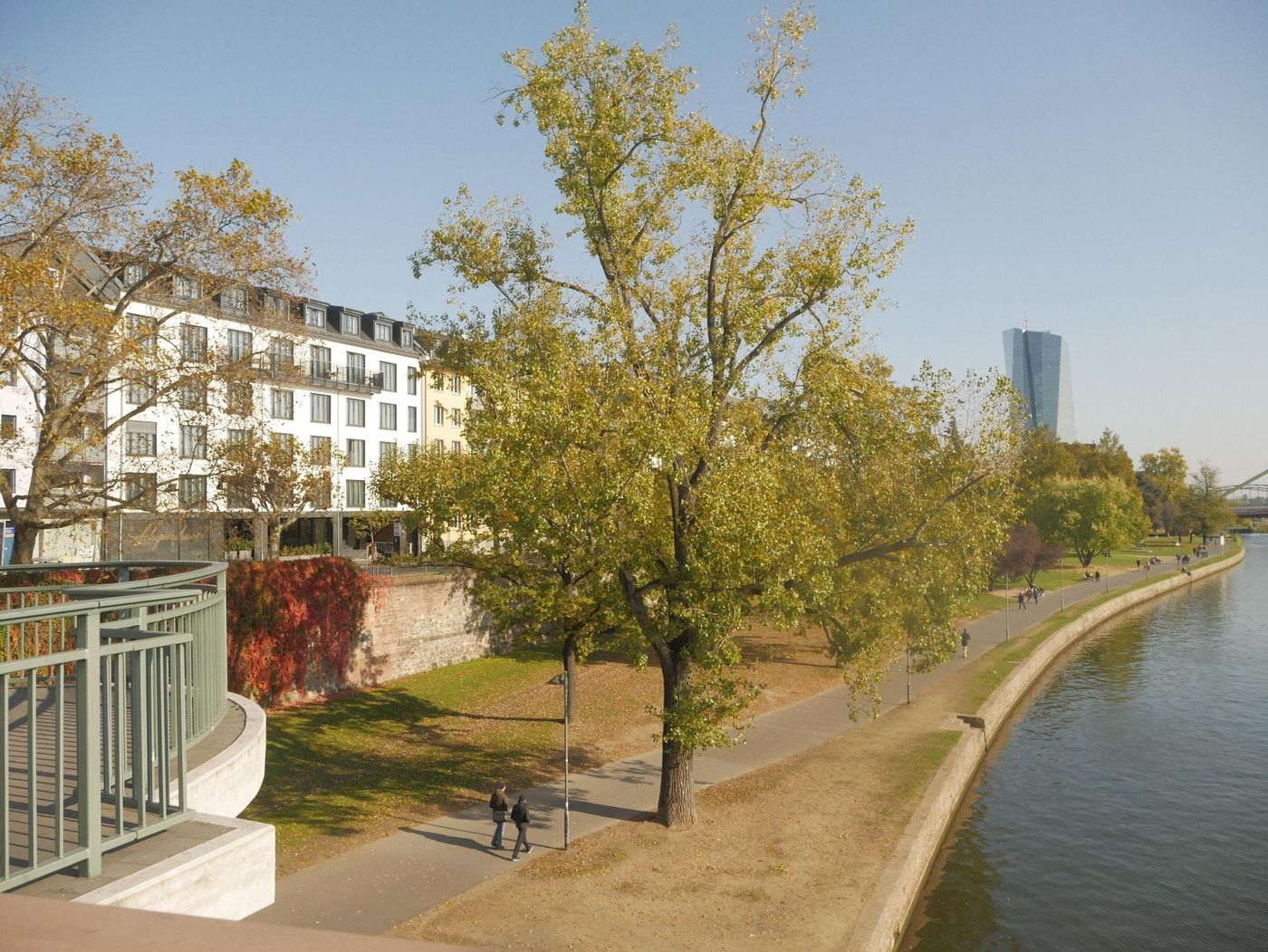 Hotel My Main - Germany - FRANKFURT - General view - 5