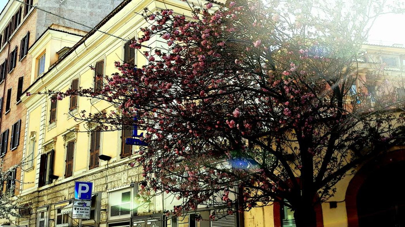 Boutique Hotel Coppedè-Italy-ROME-General view-2