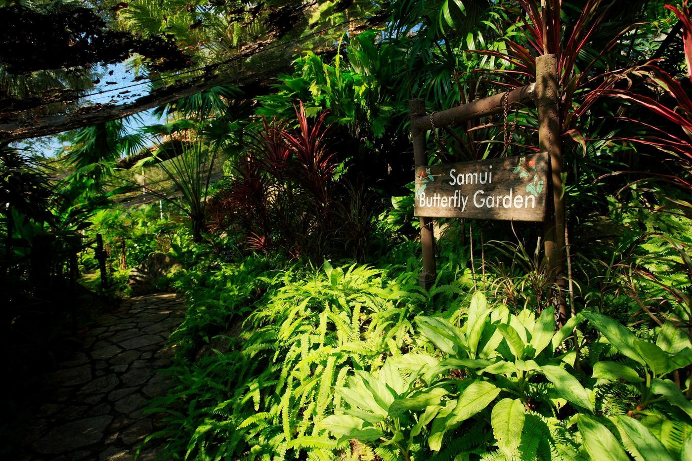 Centara-Villas-Samui-Sports-and-Entertainment-24