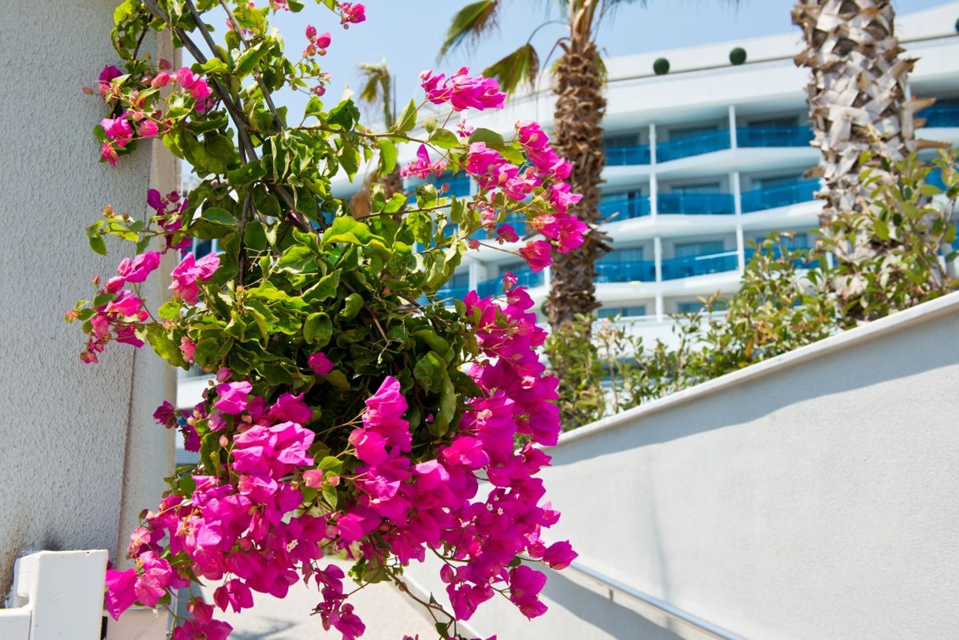 Selene-Beach---Spa-Hotel---Adults-Only--16---Terrace-8