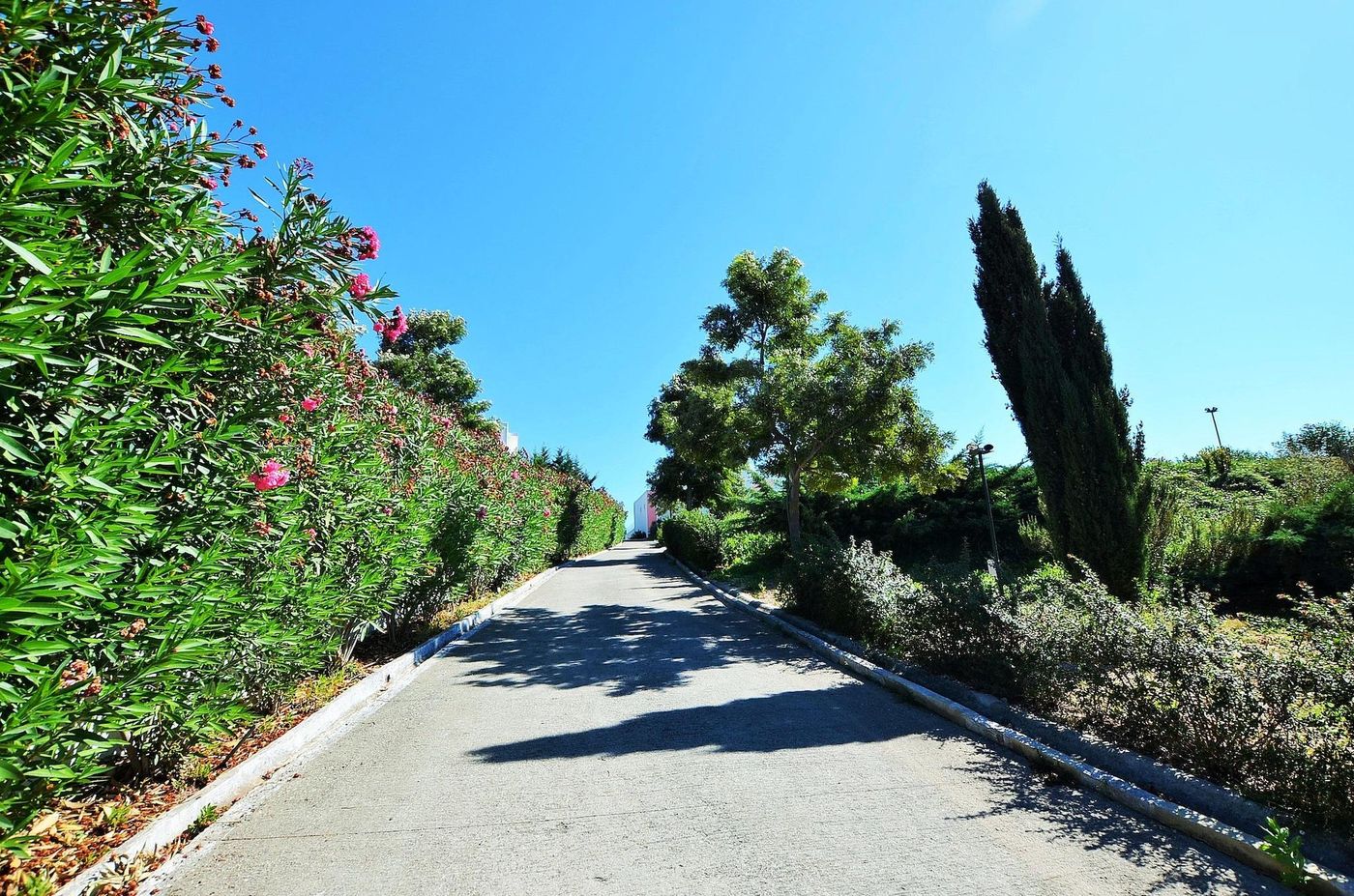 HILLTOP-OASIS---Lisbon-Lux-Oeiras-Resorts-General-view-51