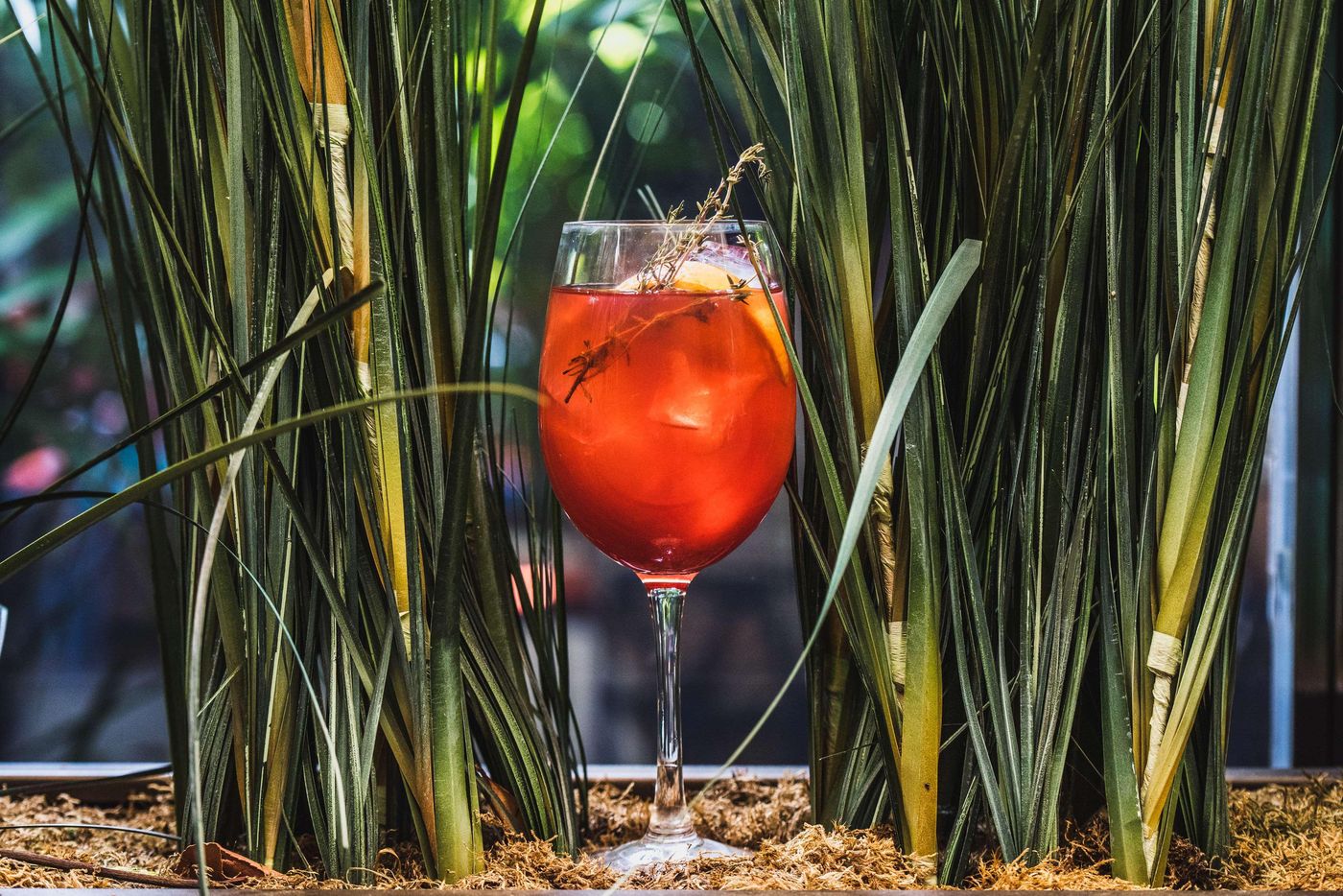 Vp-Jardin-De-Recoletos-Restaurant-49