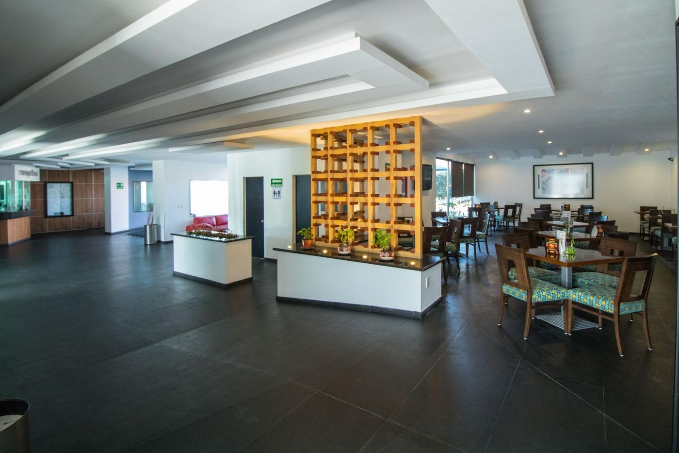 Hotel Atenas Plaza-Mexico-MEXICO CITY-Lobby-8