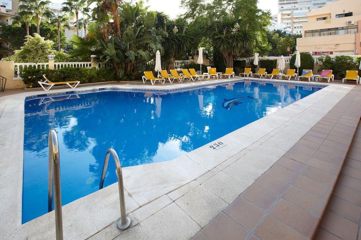 Don-Paquito-General-view-3