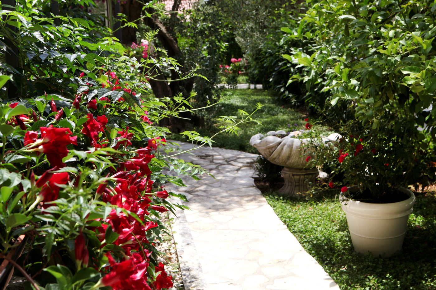 Villa-Rustica-Dalmatia-General-view-24