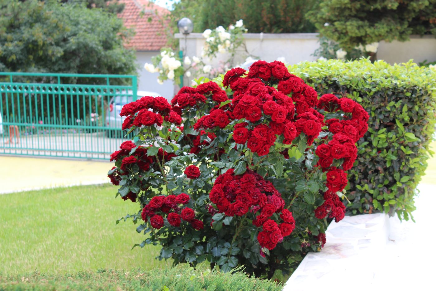 Hotel-Zora-General-view-26