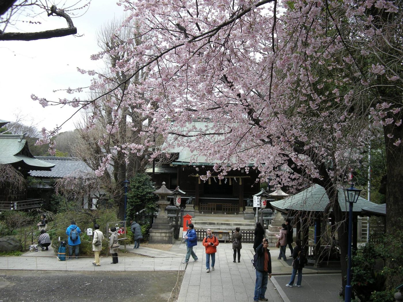 Ueno Terminal Hotel-Japan-Tokyo-General view-4