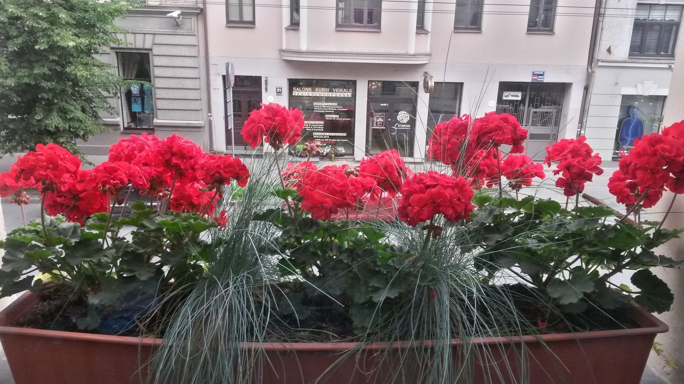 A1 Hotel - Latvia - RIGA - General view - 1