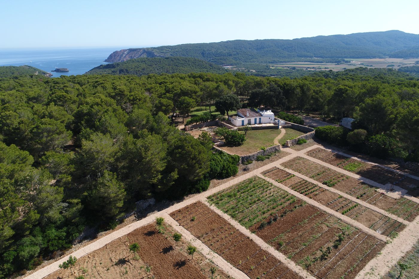 Can-Faustino-Sports-and-Entertainment-14