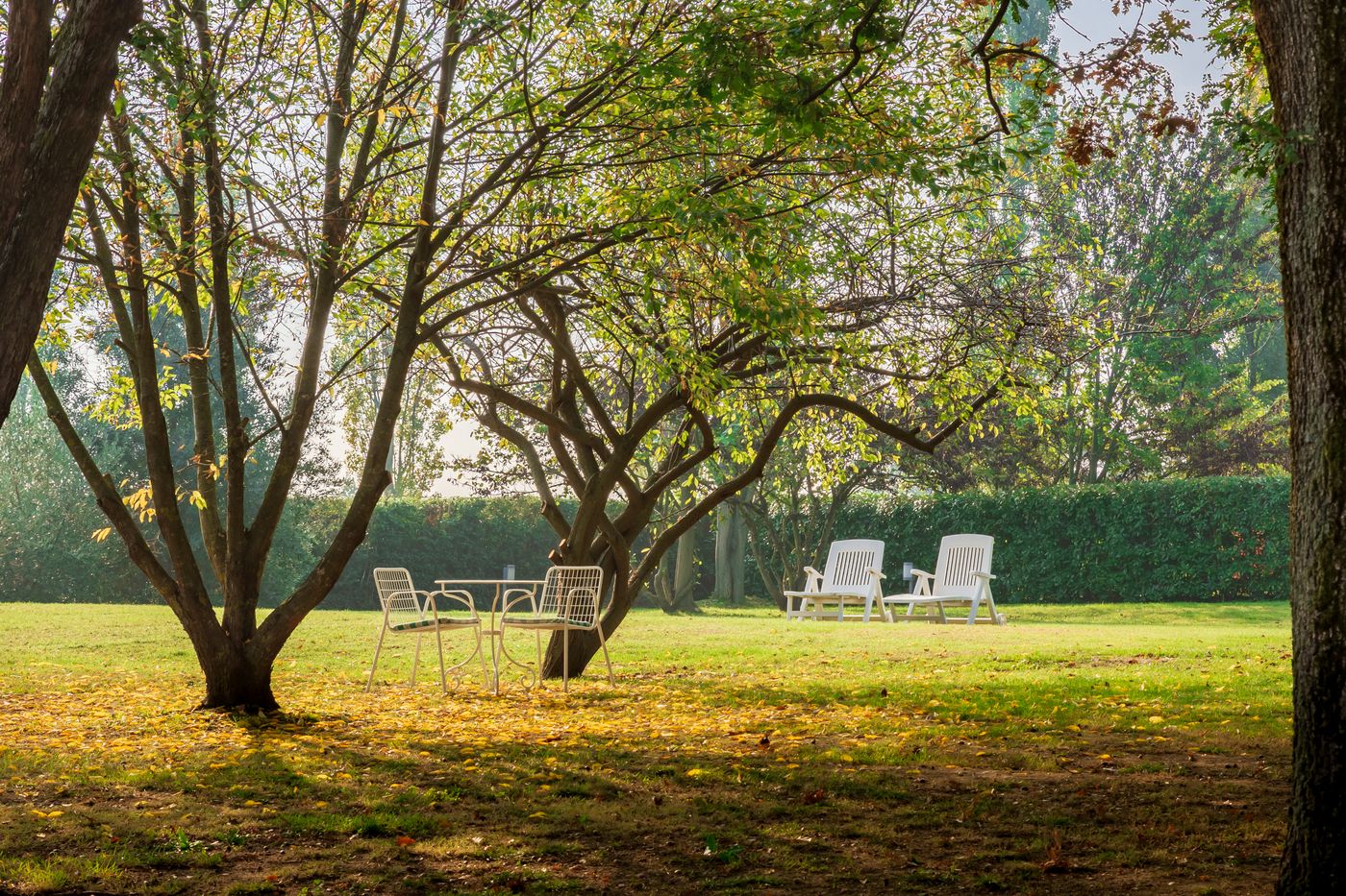 Ca' Palazzo Malvasia- BolognaRooms - Italy - SASSO MARCONI - General view - 10