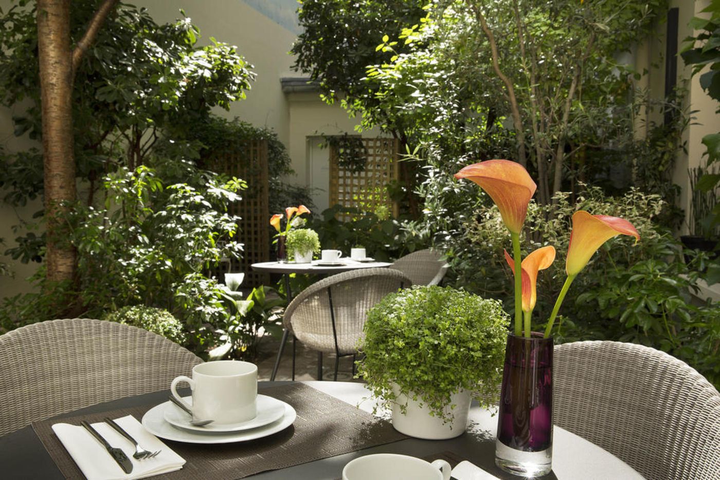 Hotel-A-la-Villa-des-Artistes-Terrace-28