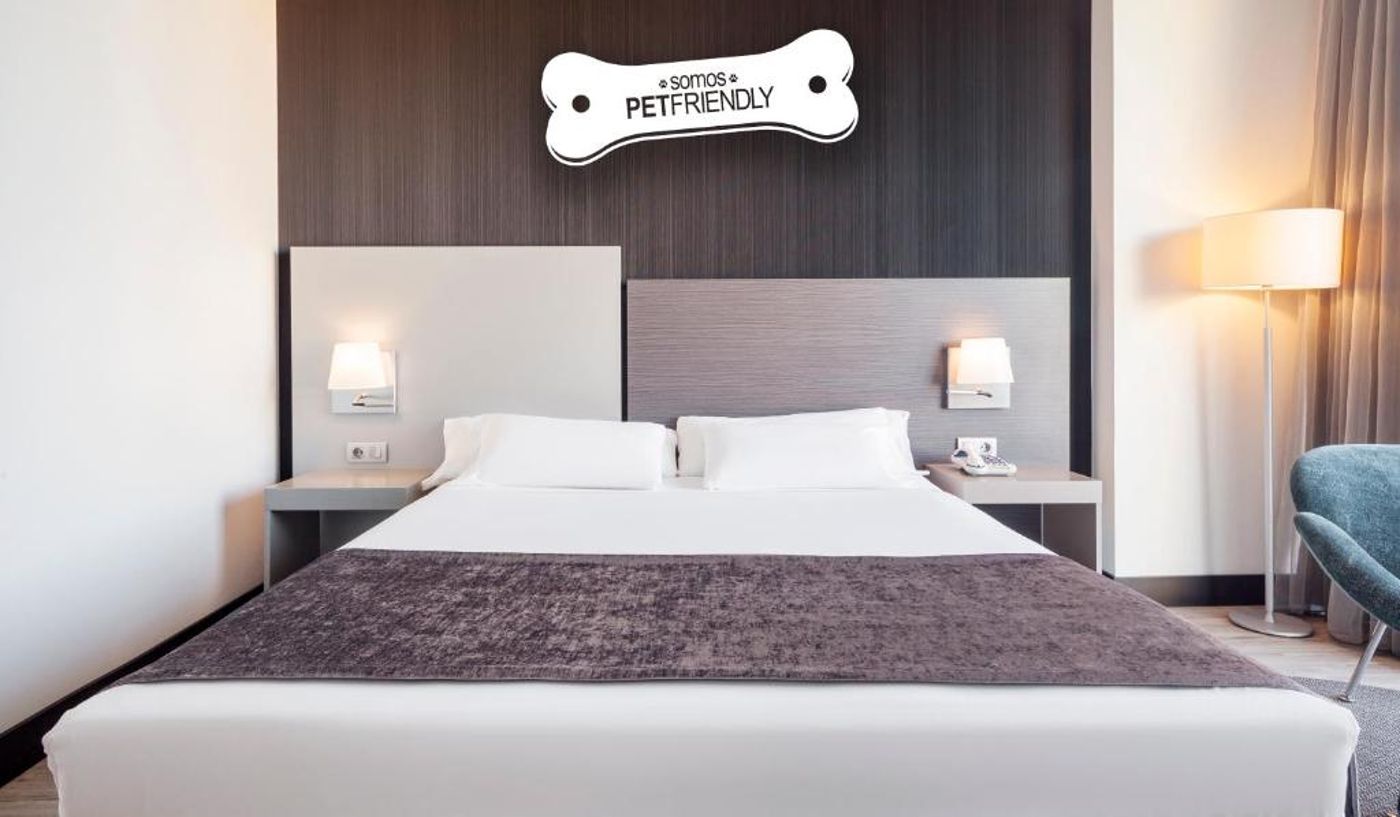 Ilunion-Pio-XII-Room-11