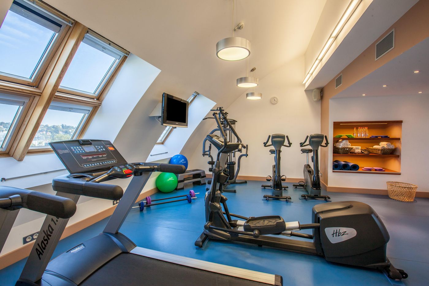 Crowne Plaza Lyon Cite Internationale - France - LYON - Sports and Entertainment - 3