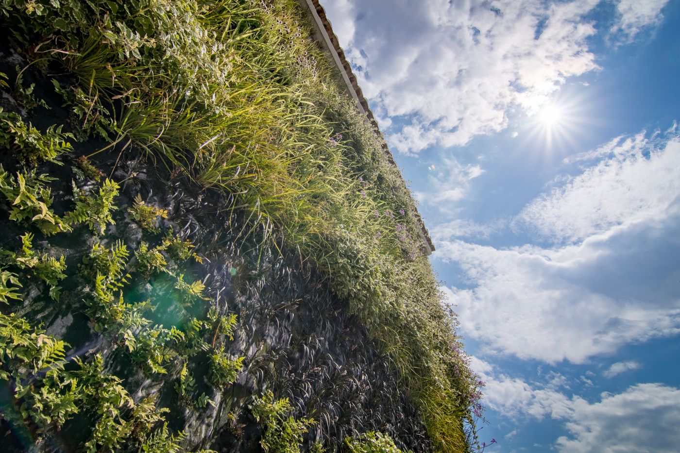 Cap-Negret-General-view-9