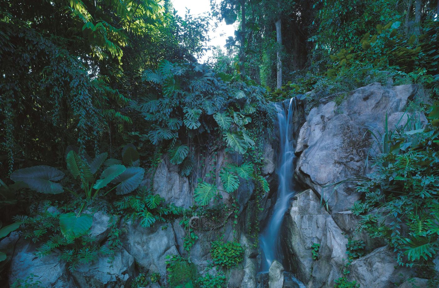 Shangri-La Rasa Sentosa, Singapor - Singapore - SINGAPORE - General view - 5