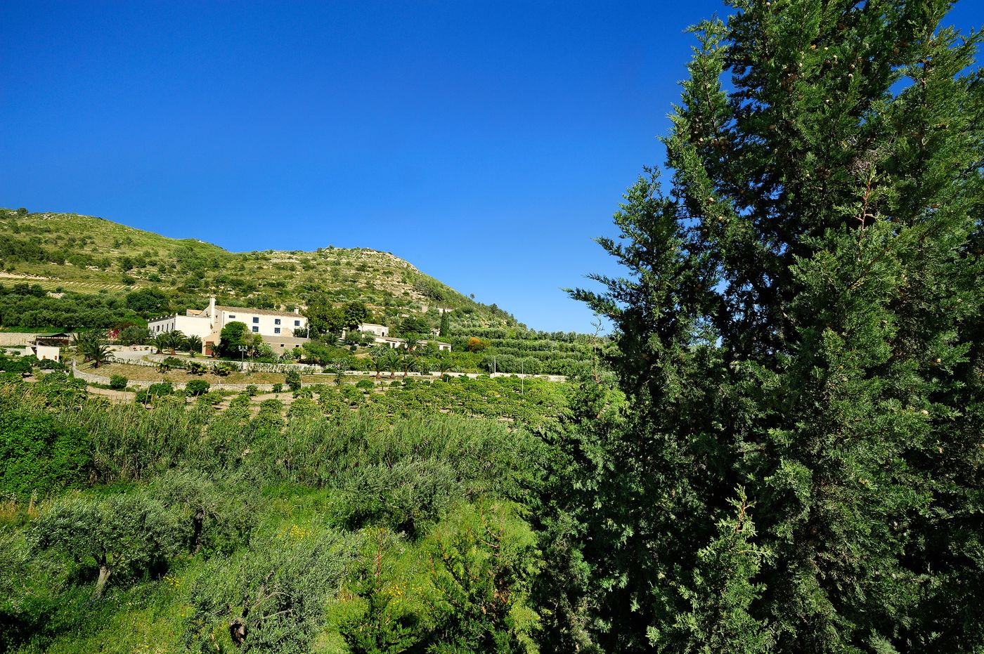 Kallikoros-Hotel-Spa-and-Resort-Room-62