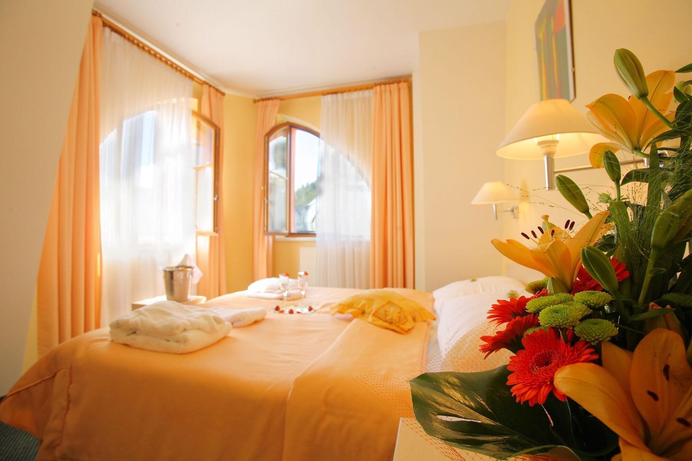 Hotel Ambiente Wellness & Spa   Karlovy Vary-Czech Republic-KARLOVY VARY-Room-7