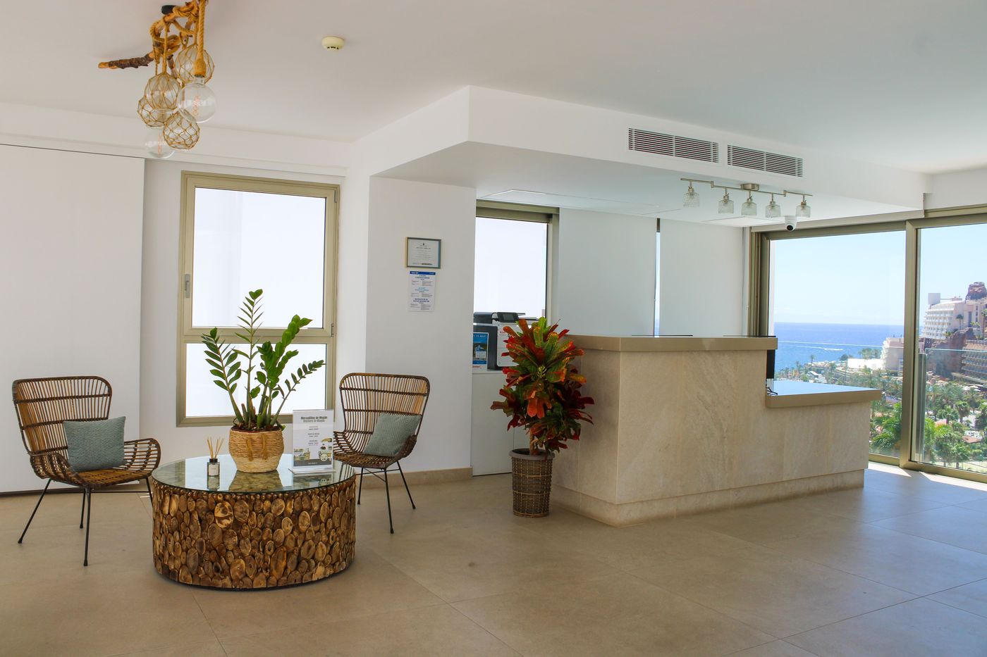 New - Cordial Magec Taurito