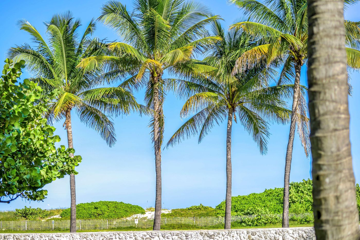Hilton Vacation Club Crescent on South Beach Miami - United States - Miami Beach - General view - 5