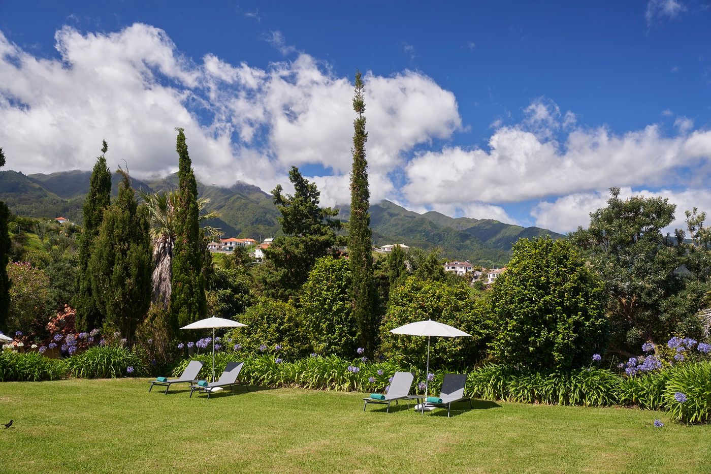 Quinta-do-Furao-General-view-8