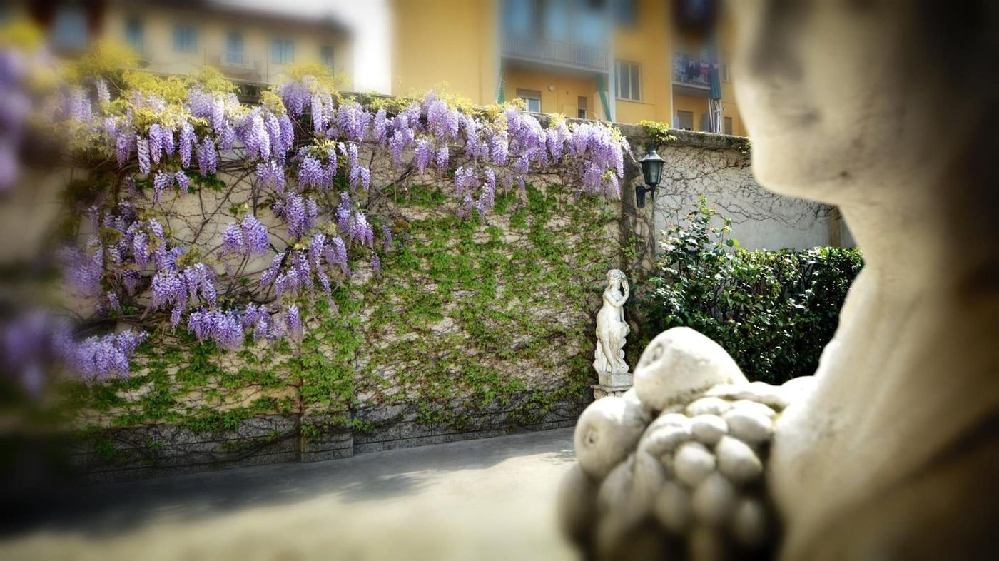 Astor Torino - Italy - Torino - Terrace - 9