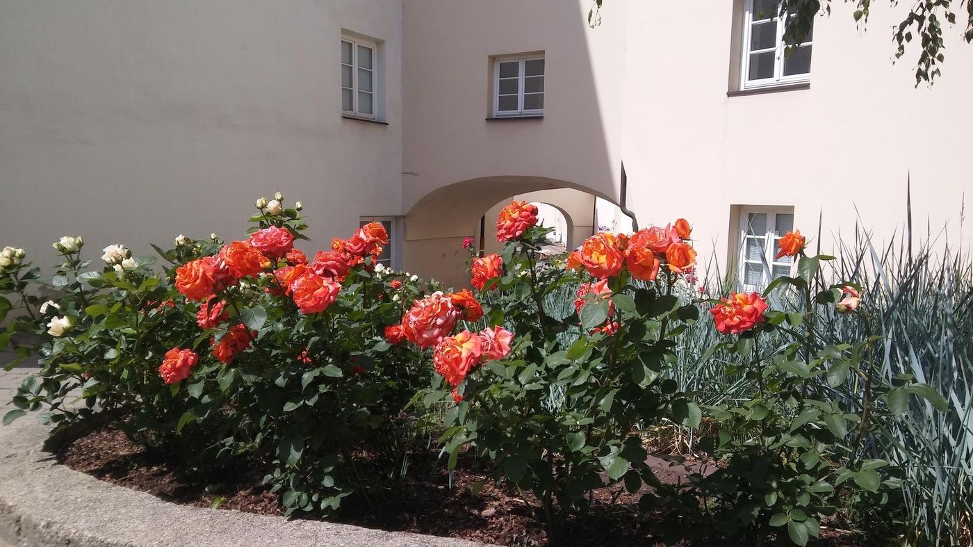 Domus Maria-Lithuania-VILNIUS-Room-10