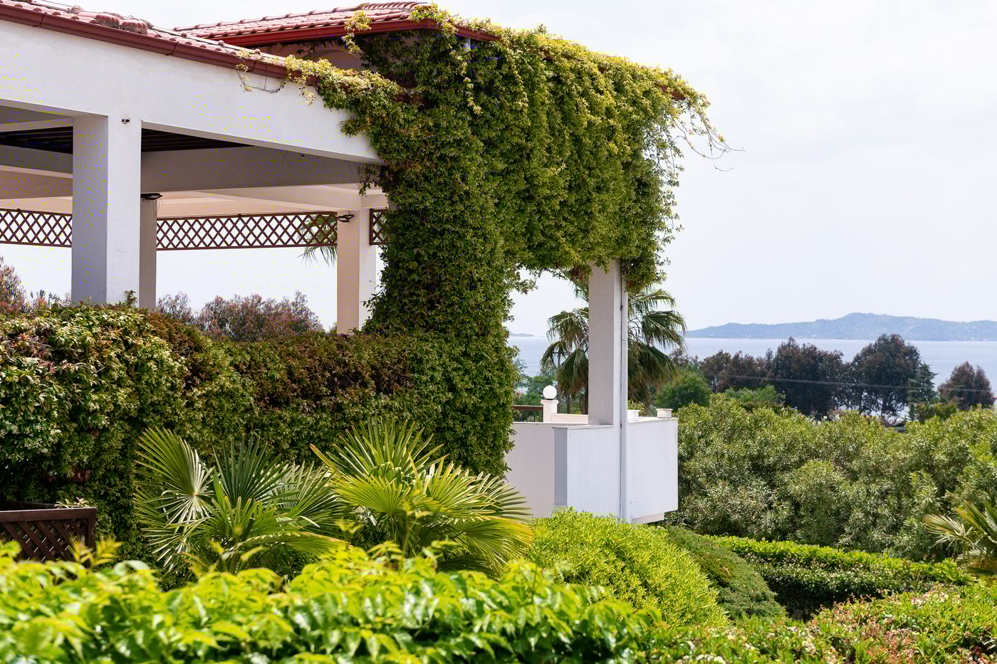 Alexandros-Palace-Hotel-Terrace-18