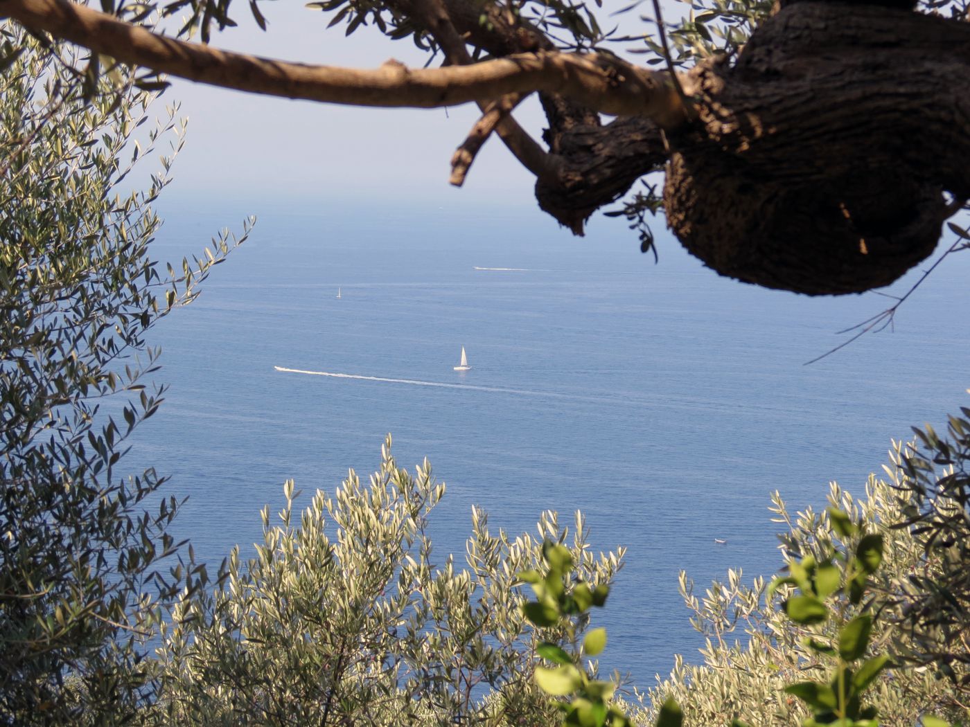 Villaggio-Baia-Serena-General-view-60