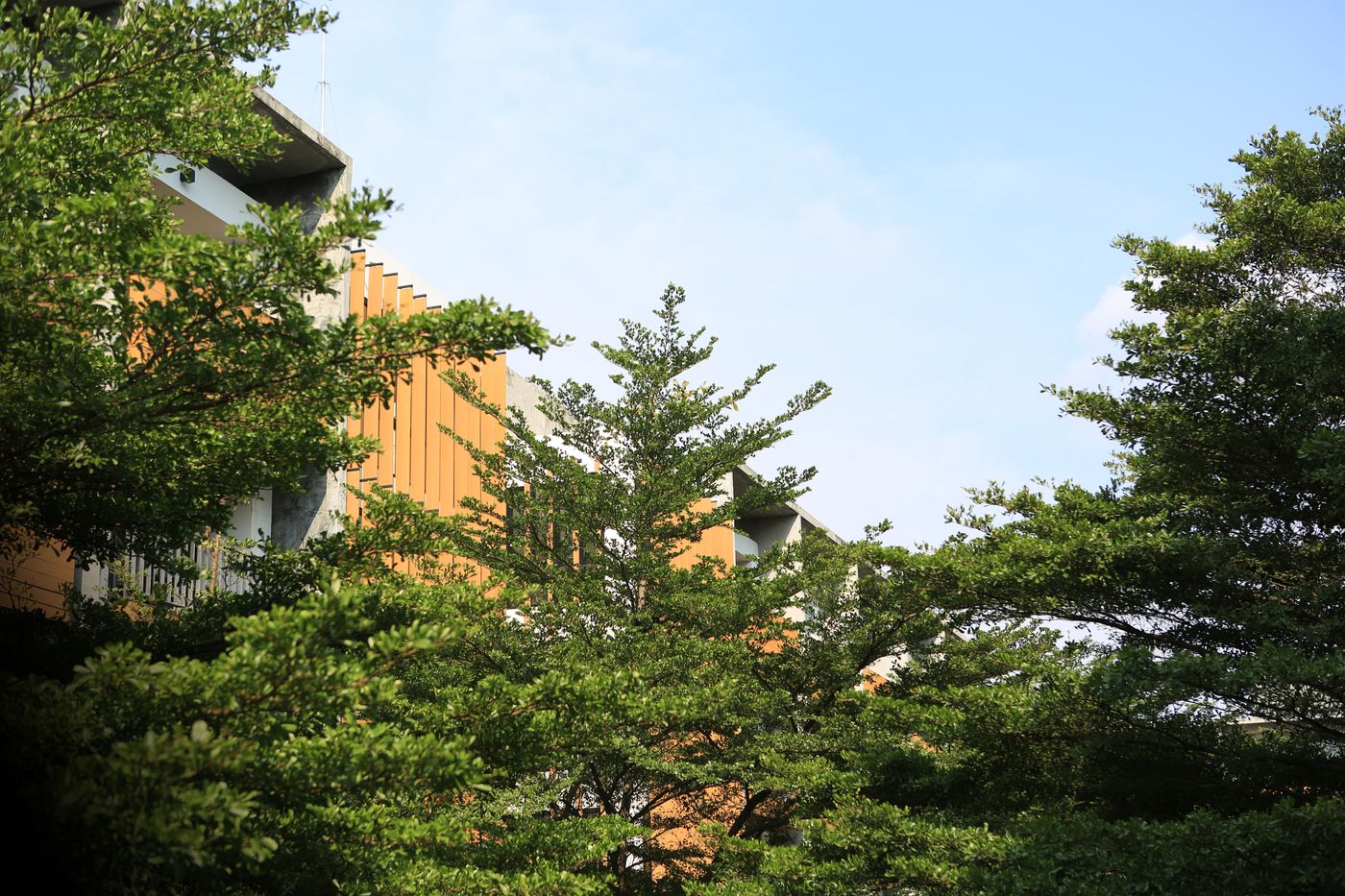 The-Silver-Palm-Wellness-Resort---Bangkok-Terrace-72